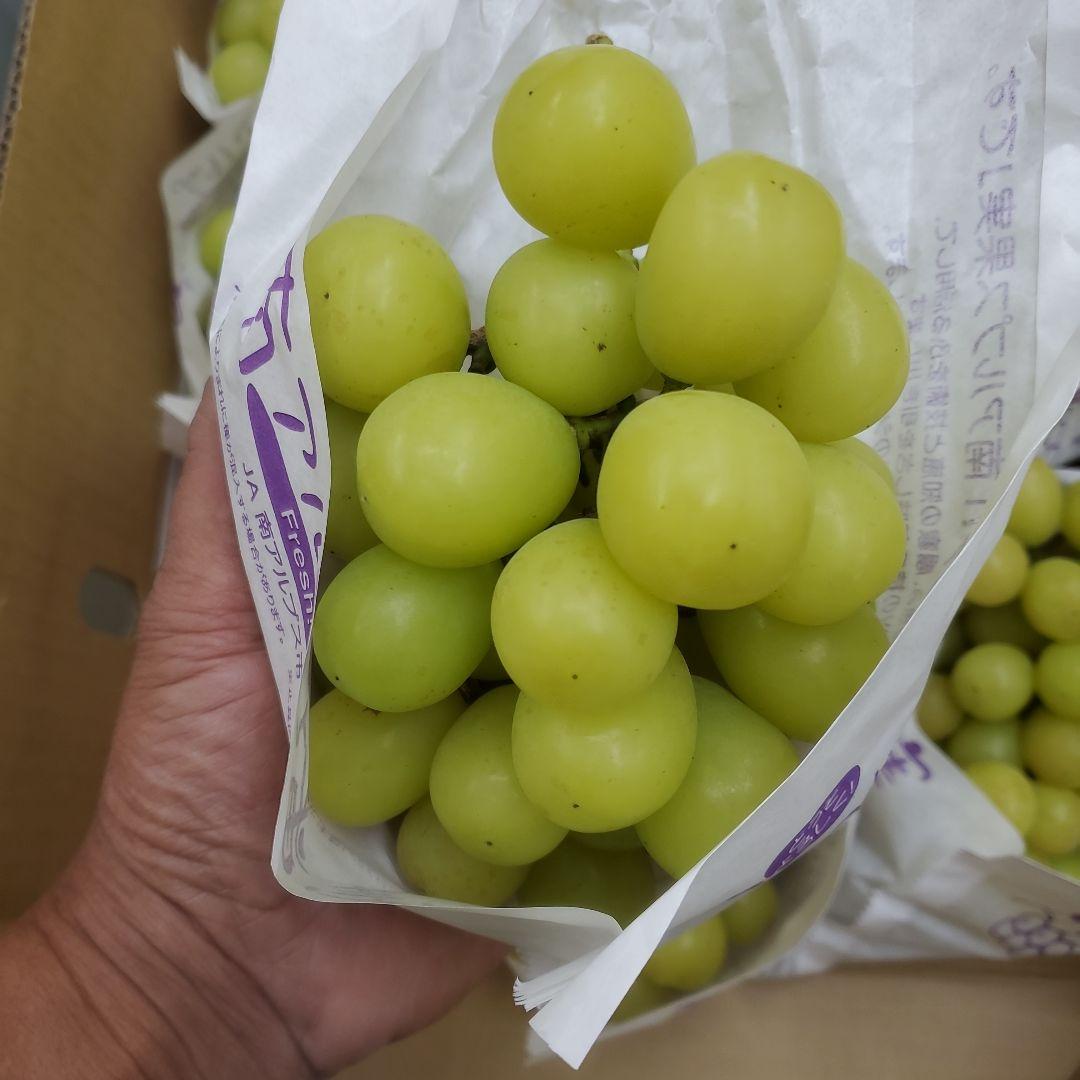 8️⃣ 山梨県産 シャインマスカット １２房入り 箱込み5.4キロ