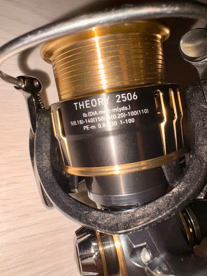 リール DAIWA THEORY 2506