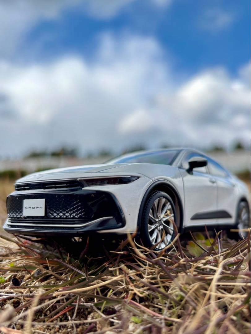 非売品　クラウン　カラーサンプル　2台セット