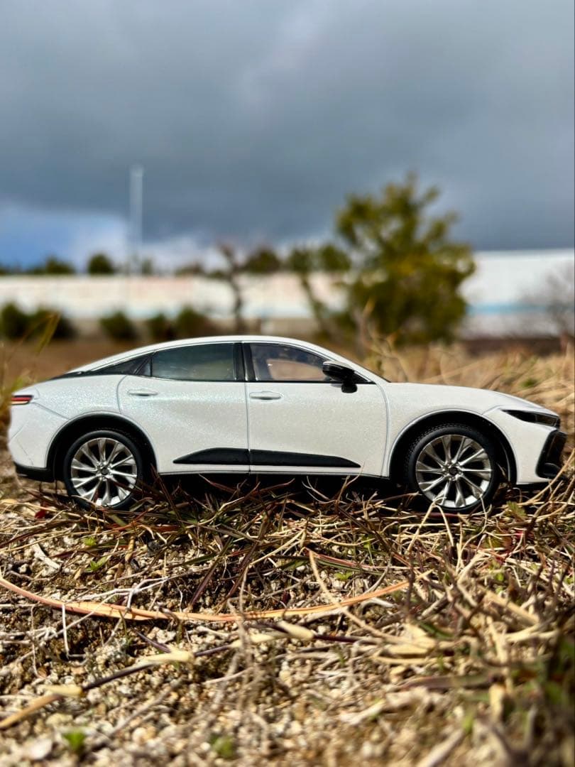 非売品　クラウン　カラーサンプル　2台セット