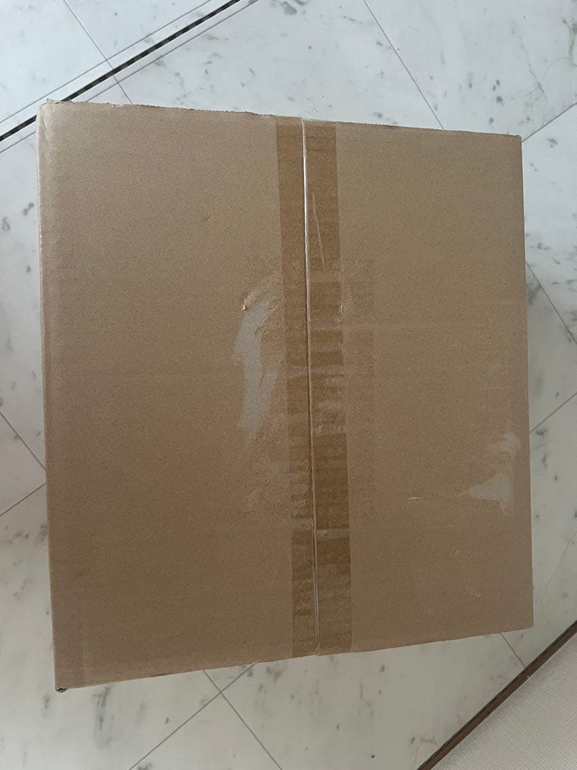 R*✨様 【正規品】Labubu Big into Energy ラブブ シーク