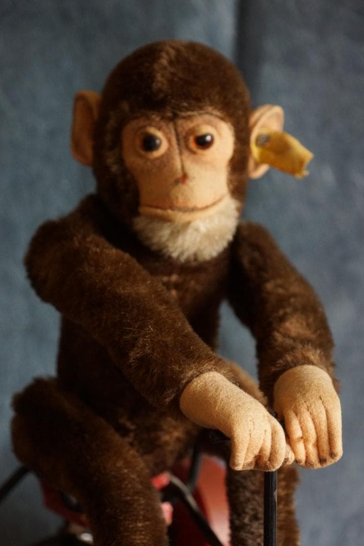 50年代のヴィンテージ／シュタイフのローリージョッコ／高価です