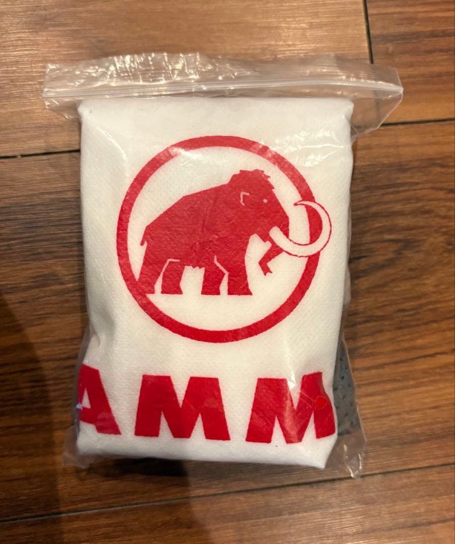 MAMMUT Skywalker ヘルメット