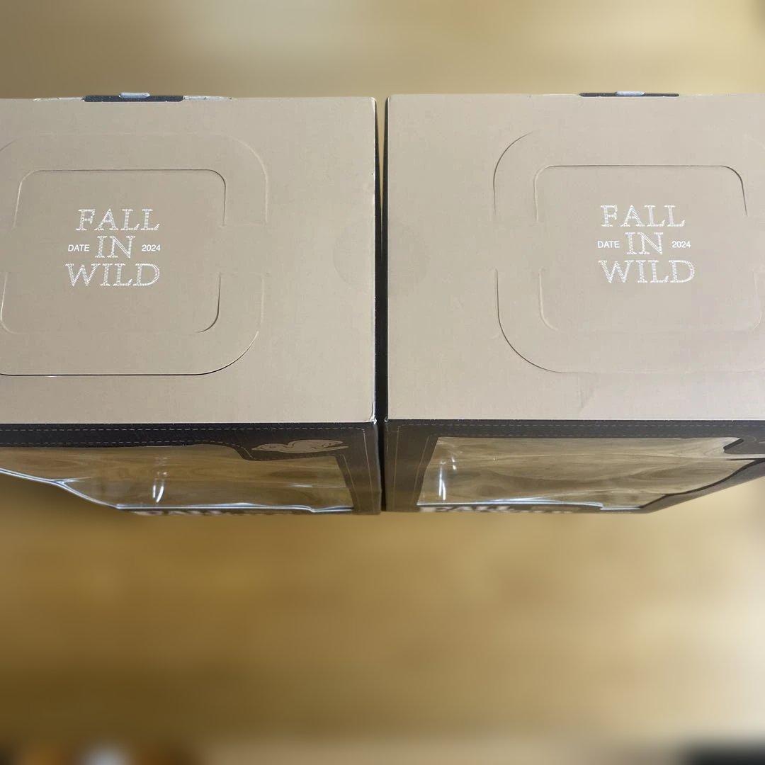 POP MART FALL IN WILD THE MONSTERS 2体セット