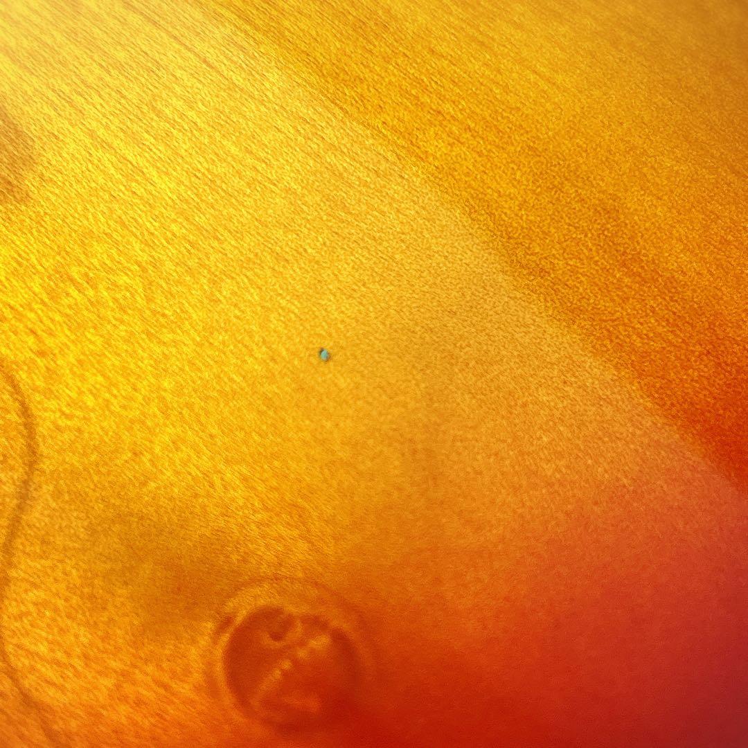 エピフォン　レスポール100/HS 2ND