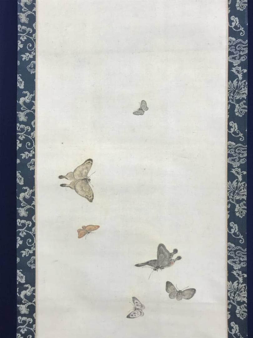 真作/田中梧堂/胡蝶舞遊図/蝶図/花鳥図/掛軸/名家伝来/AD-954