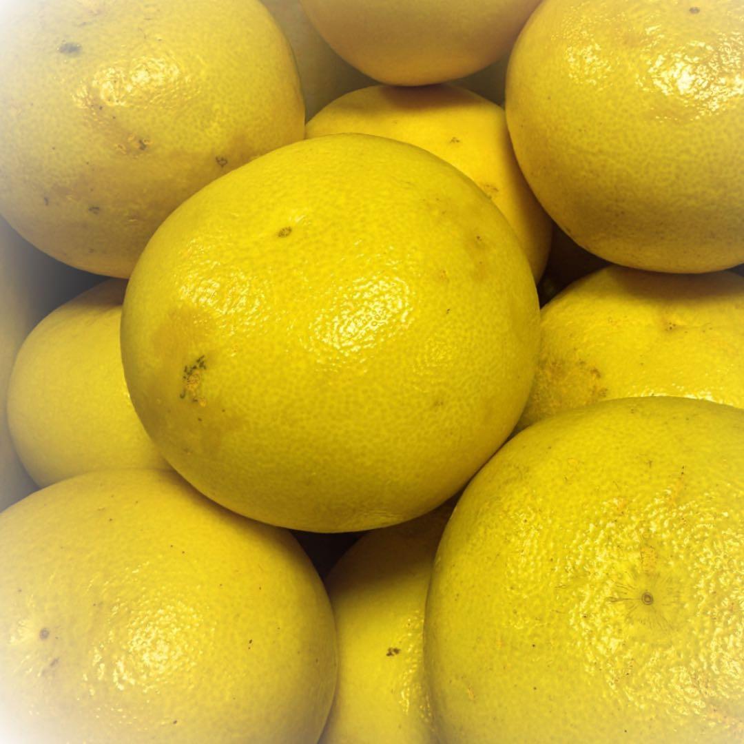 文旦　水晶文旦　みかん　好きに　　90