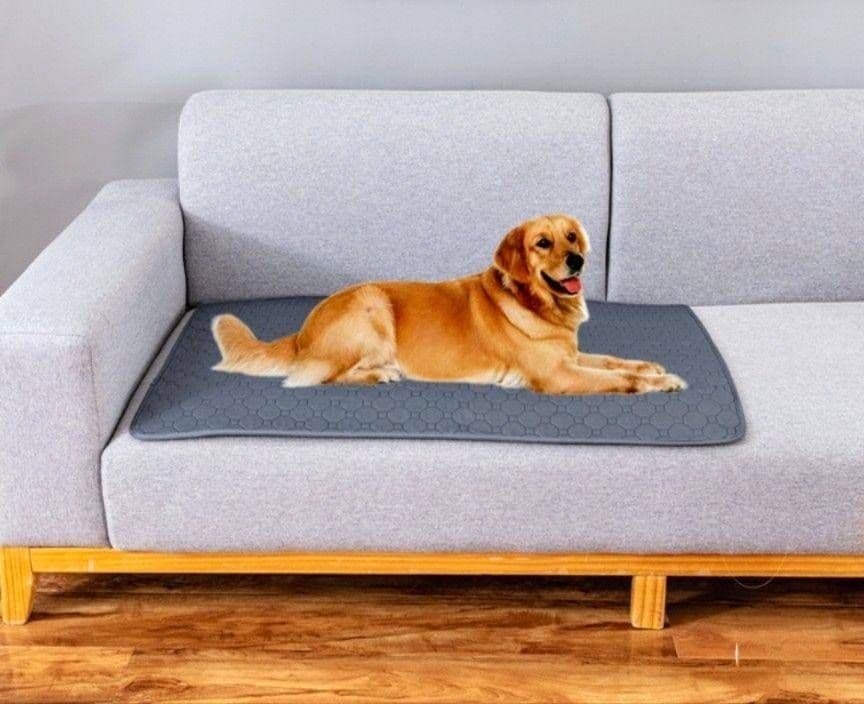 Ｌグレー シート トイレ　洗える　ペット　犬　猫　吸水　マット　2枚