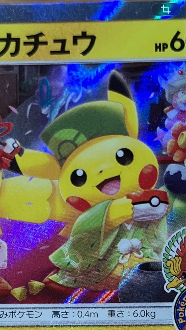 お茶会ごっこピカチュウ