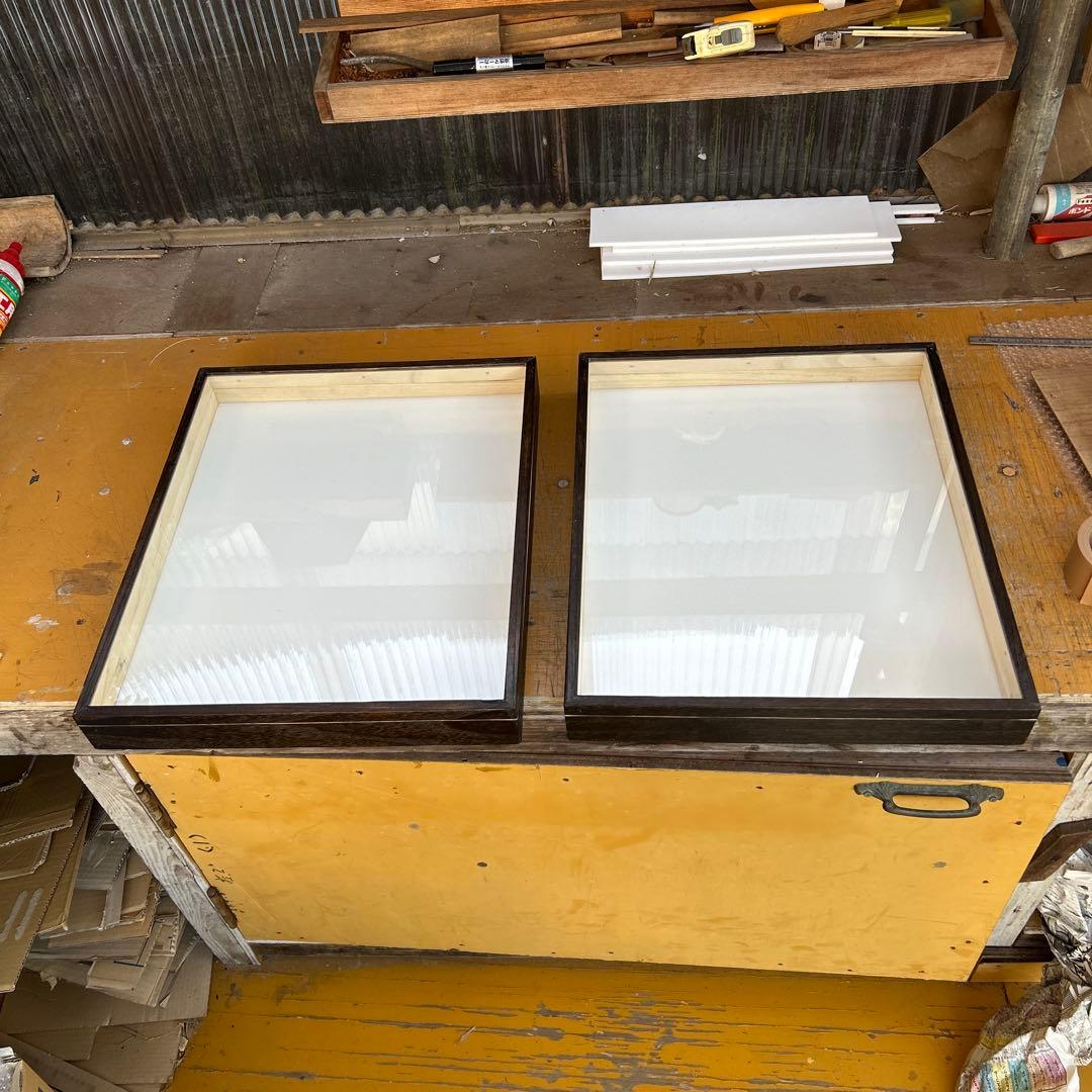 大型標本箱　２箱