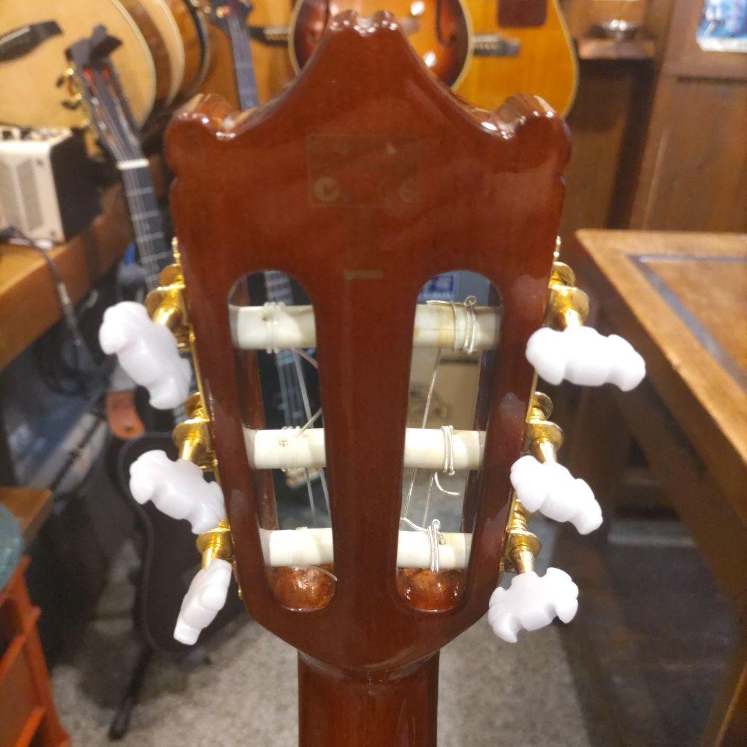 Ibanez GA8TCE エレガット (サイ)