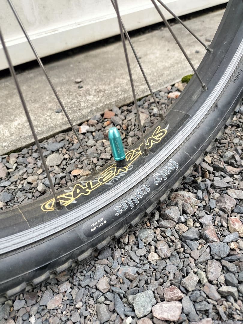 自転車本体 SE Racing FLOVAL FLYER24 BMX SE BIKES