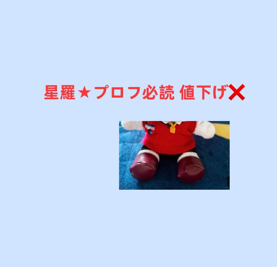 星羅★プロフ必読 値下げ❌ページ