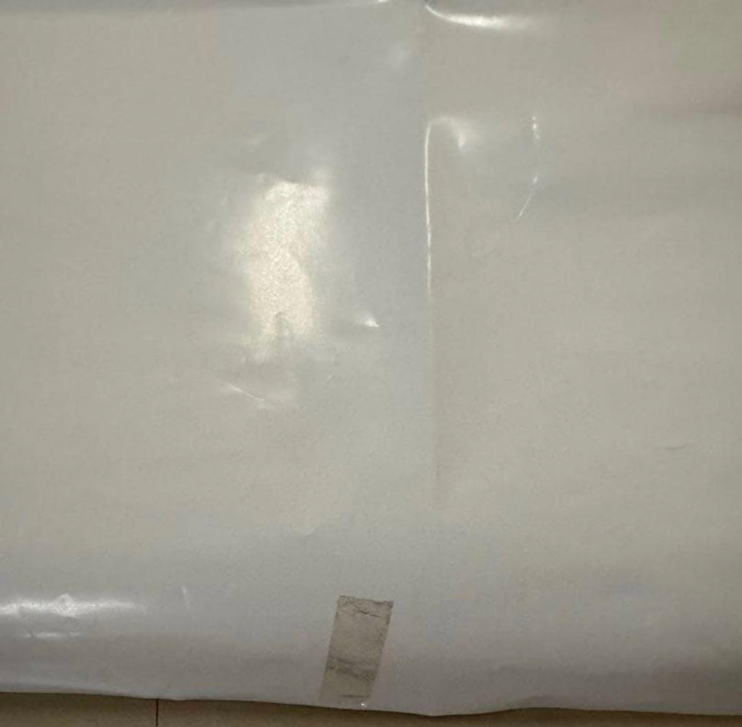 貴重★ ディズニーシー　実写　ポスター　販促用　非売品　大　B1 宣伝