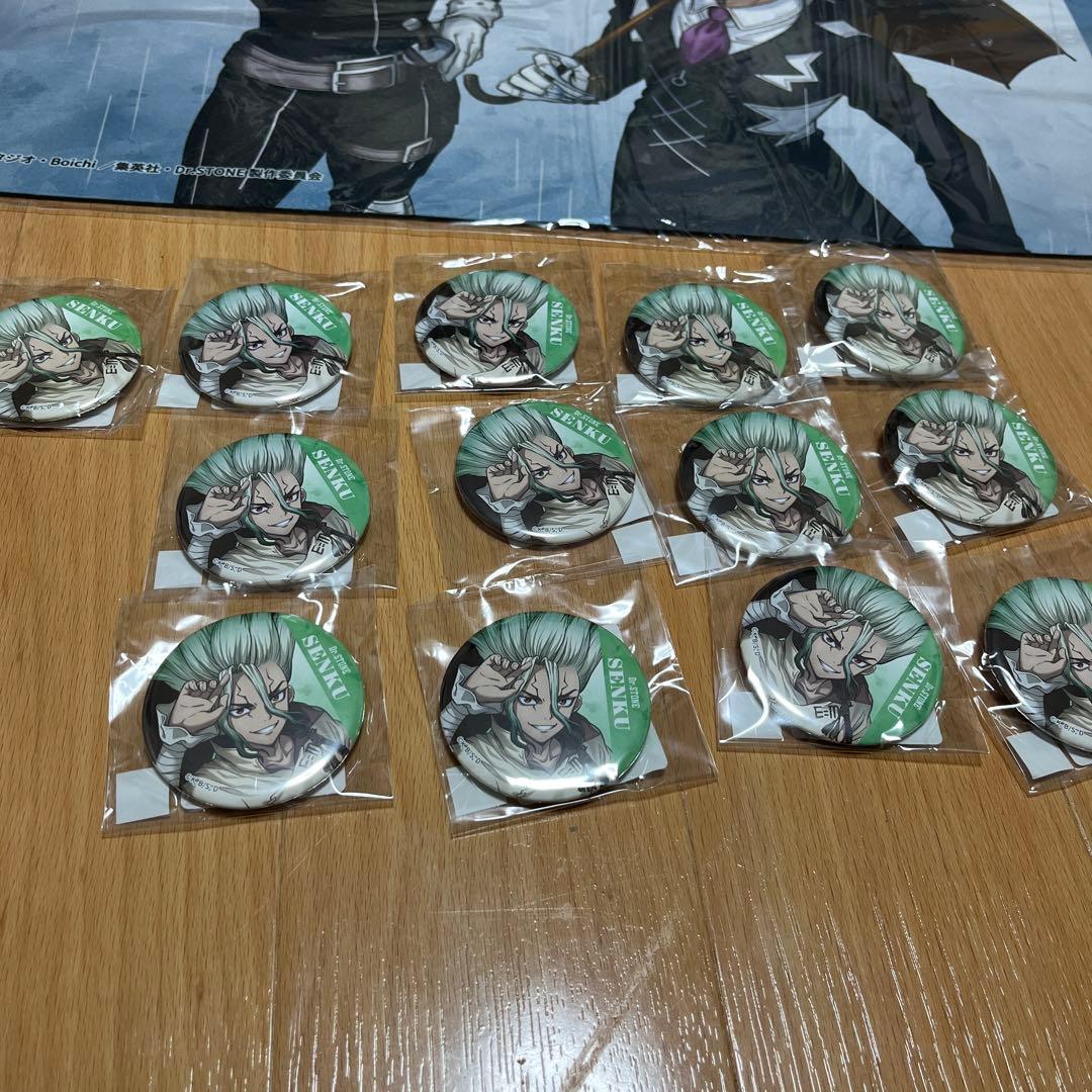 Dr.STONE DMMスクラッチ レイニーデイ E賞 缶バッジ 千空