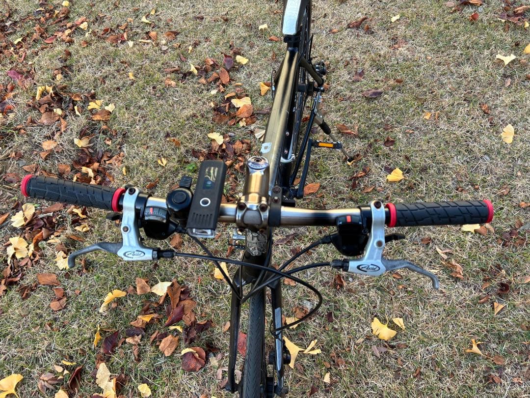 Bianchi ビアンキ クロスバイク ROMA クロスバイク　東京