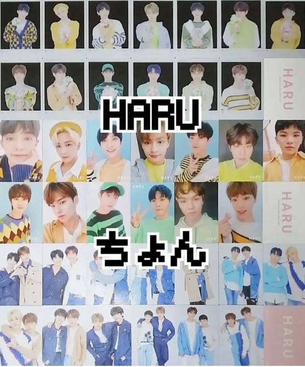 セブチ ハルコン トレカセット