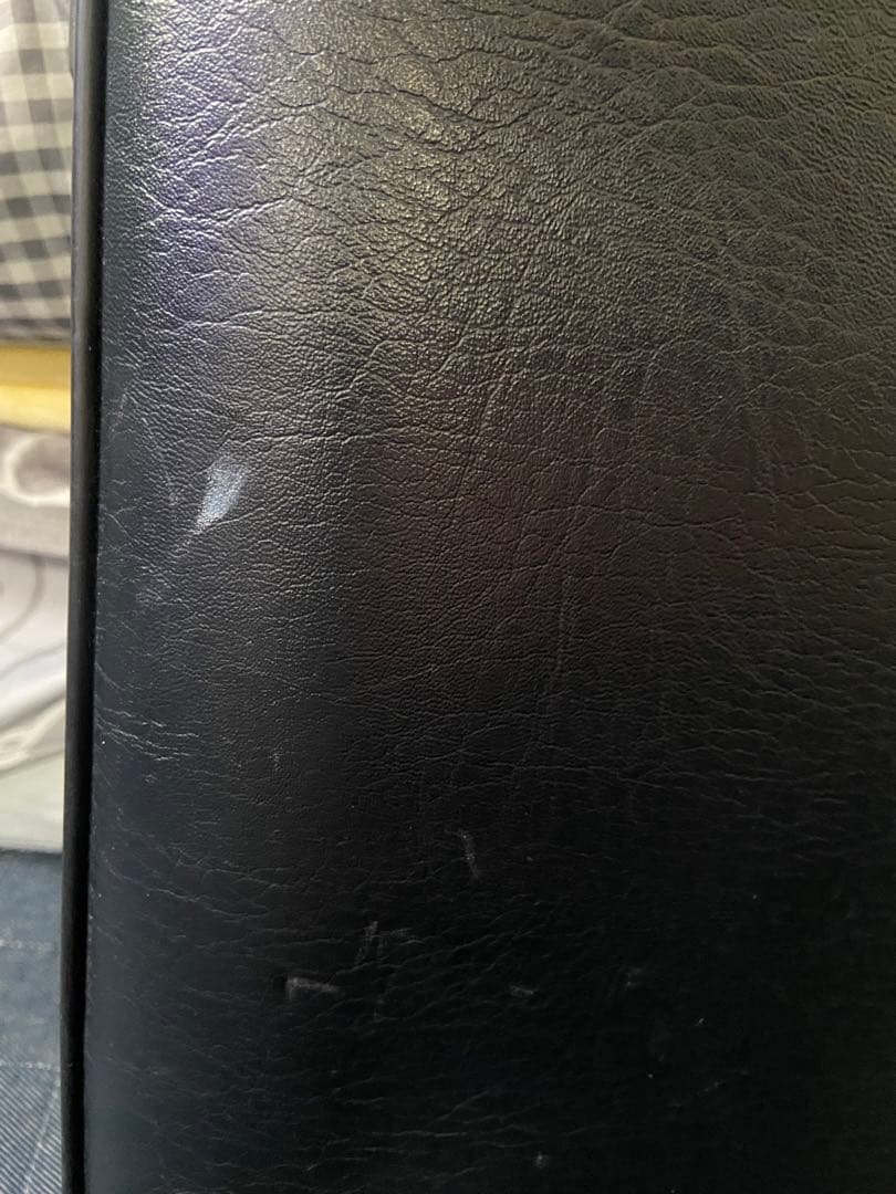 ヤナギサワ サックス　ケース　テナー