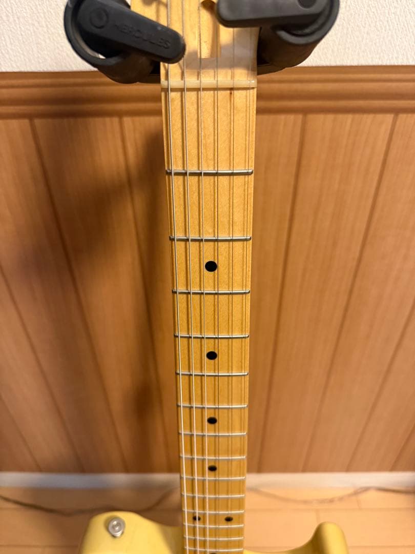 Momose MT2-STD/M BBD MOD テレキャスター MG-T