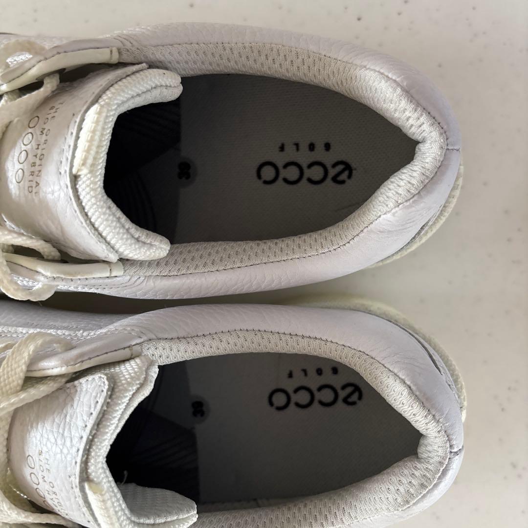 ecco ゴルフシューズ レディース 39