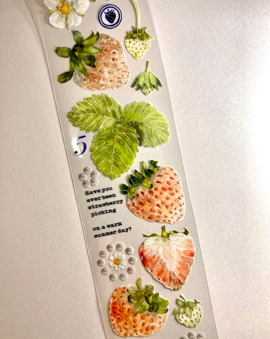 【K206】海外PETマスキングテープ　マステ切り売り イチゴ　苺