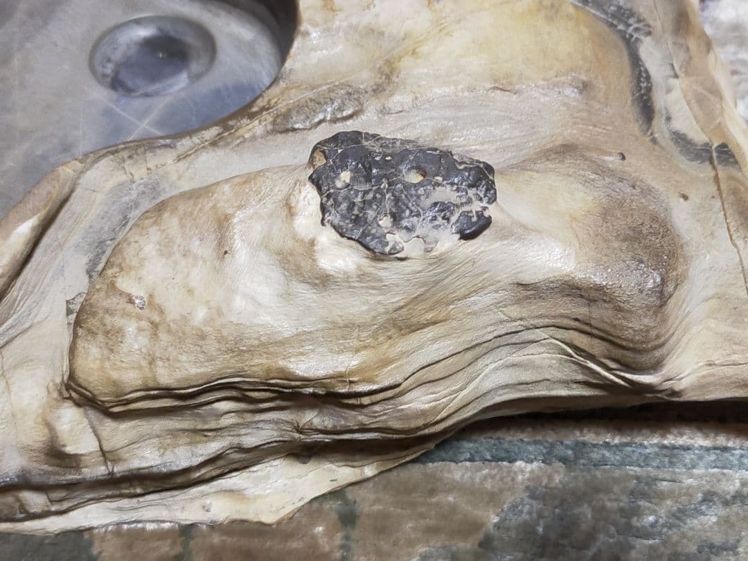 ♥中国　大型　硯　骨董品