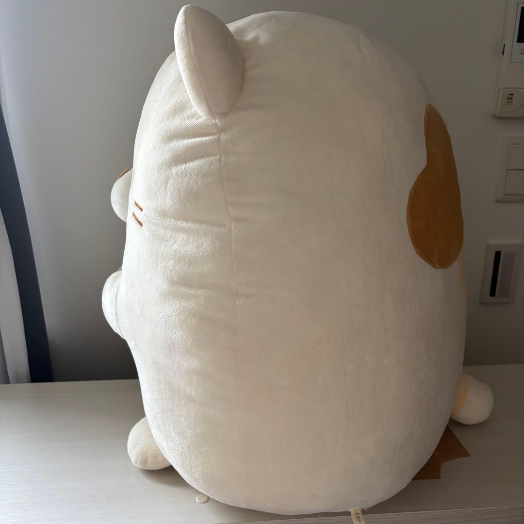 すみっコぐらし ねこ ぬいぐるみ LL サイズ