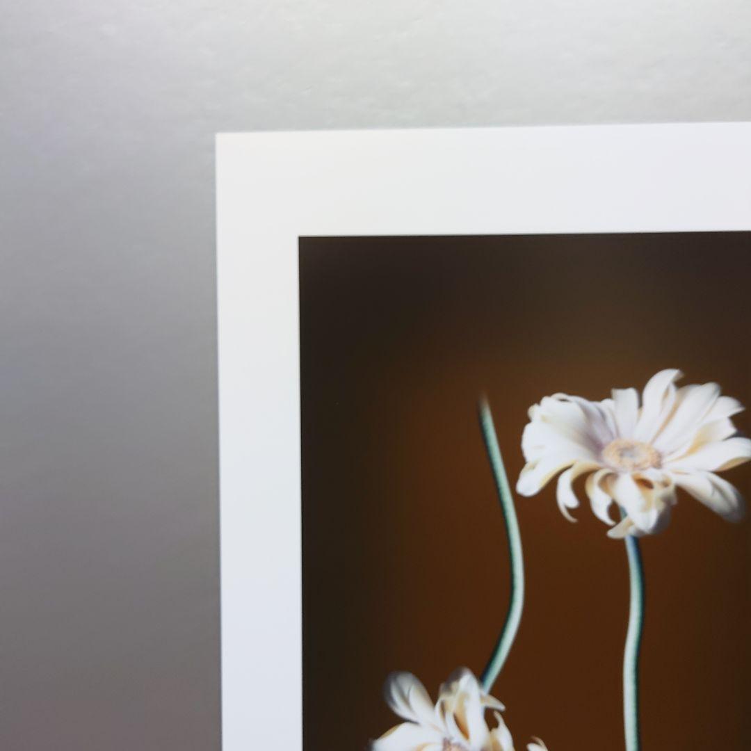 井上治（Osamu Inoue）4518＋4519　静物　フォトアート　作品