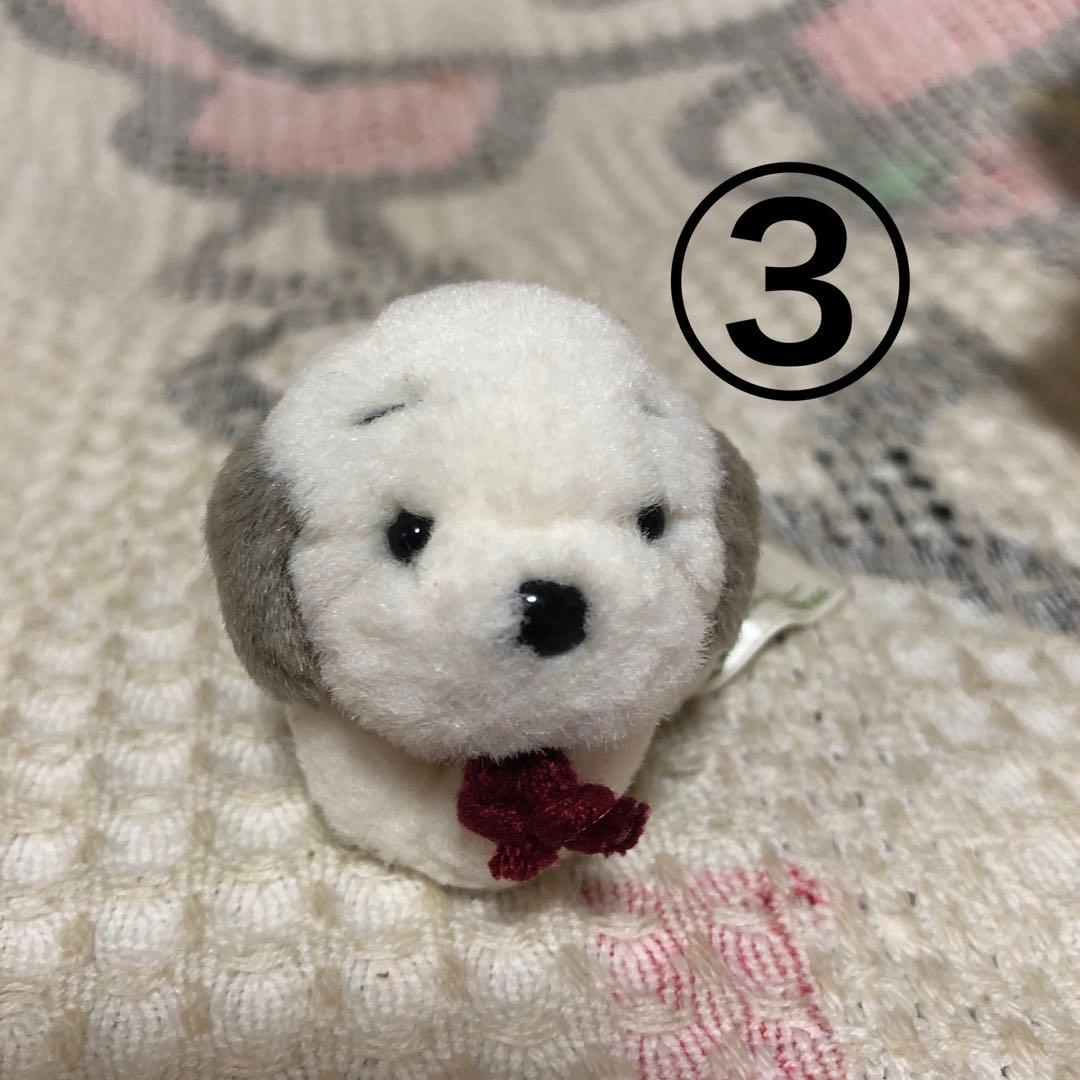 オリエンタルトーイ　うめ吉　ぬいぐるみ　難あり4コセット　中古品