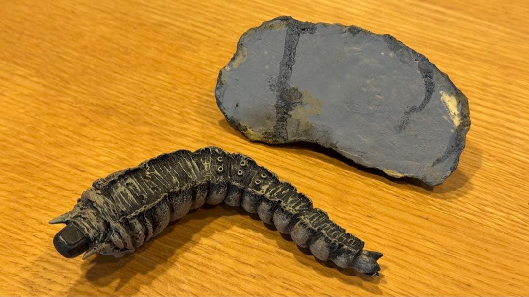 モスラ対ゴジラ　酒井ゆうじ造型工房　レジンキット完成品