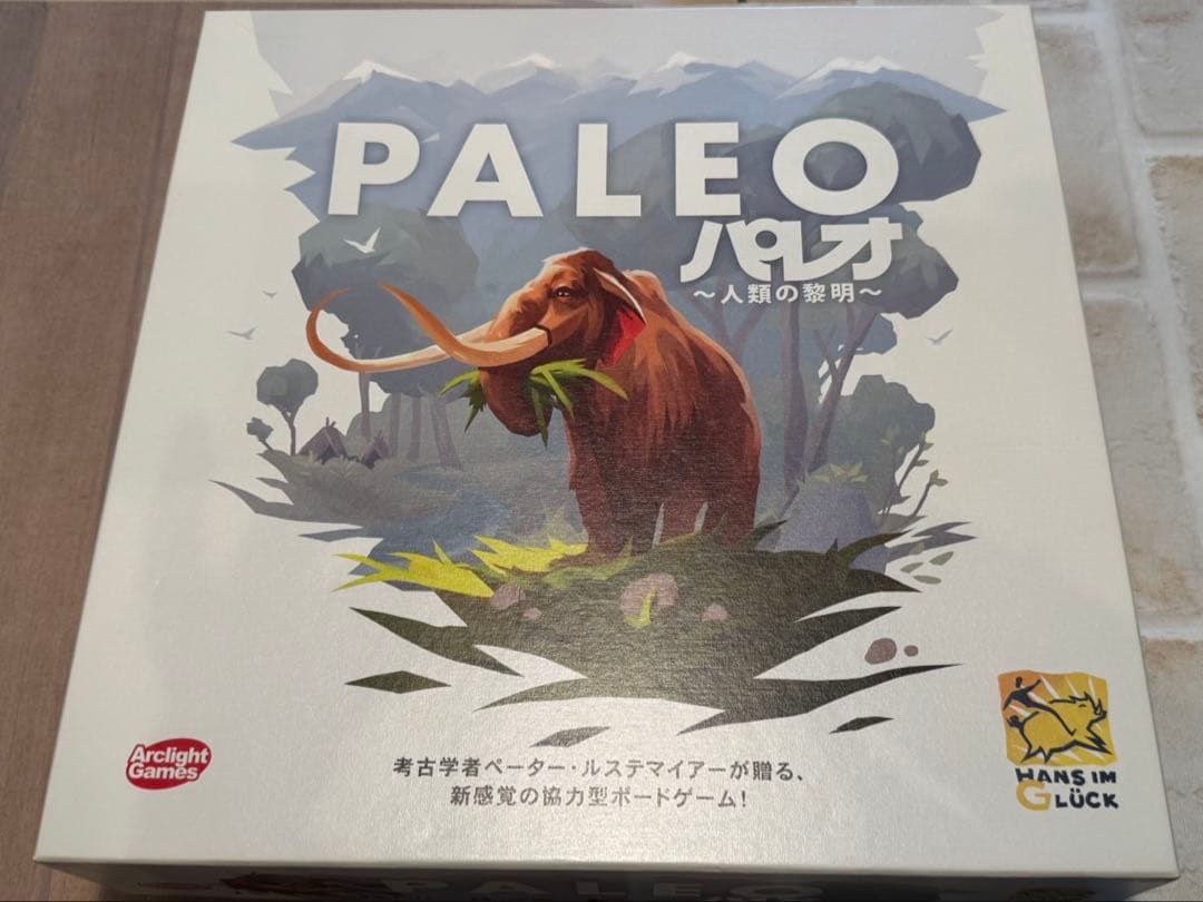 『美品』『希少』PALEO パレオ ボードゲーム