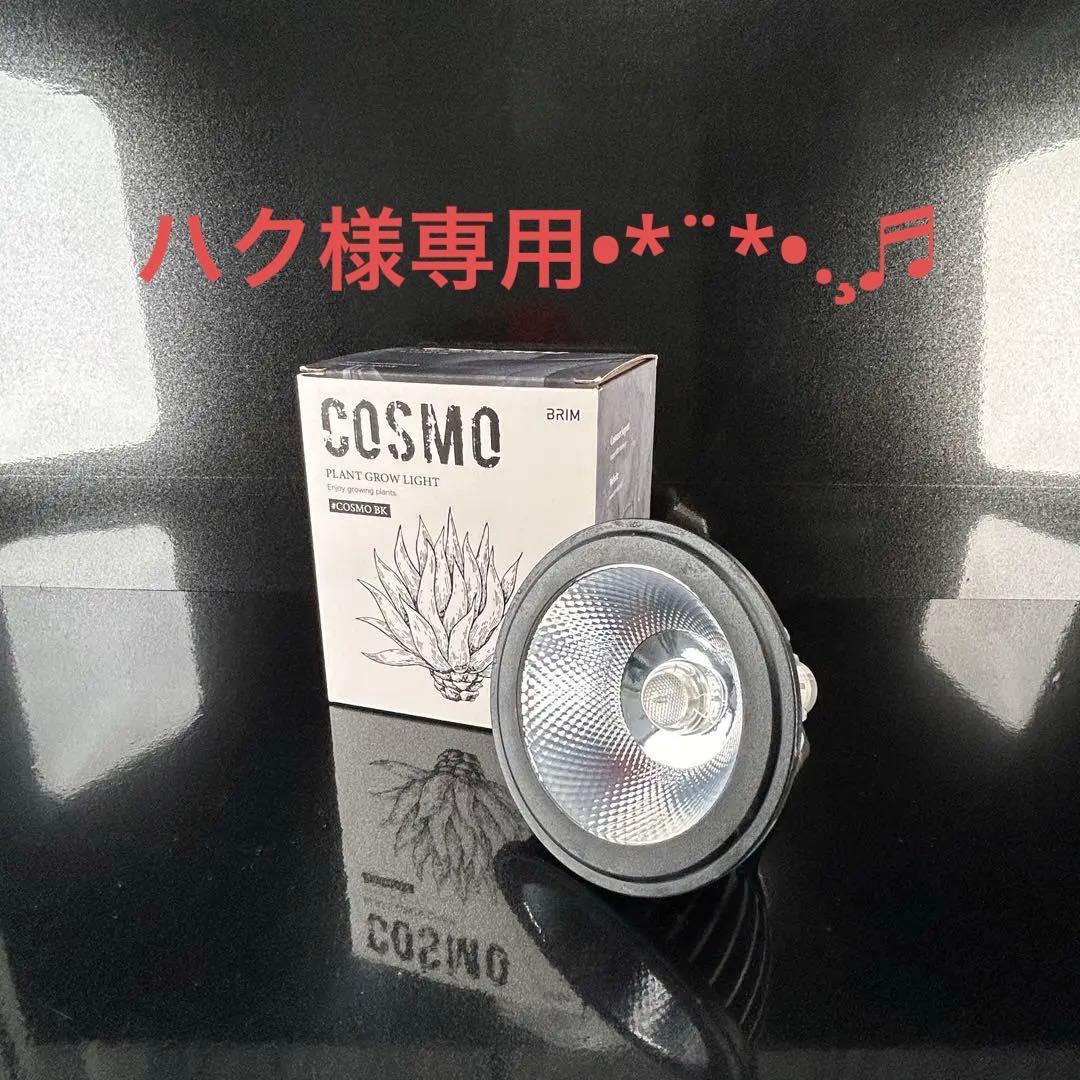 ハク•*¨*•.¸♬︎ BRIM COSMO ※2点セット