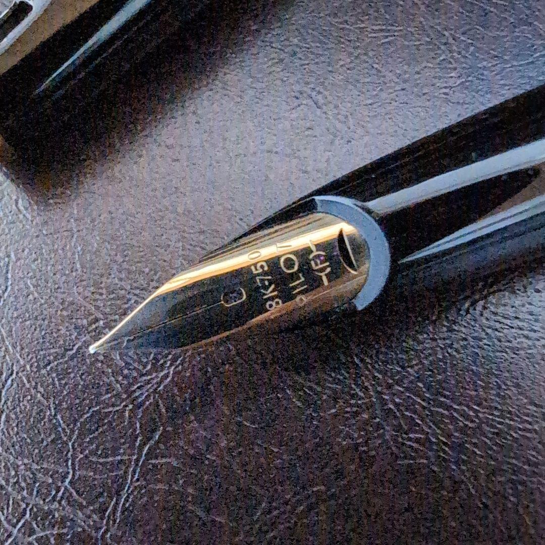 パイロット 万年筆 蒔絵 桜に楽鳥 細字 クリップ欠損