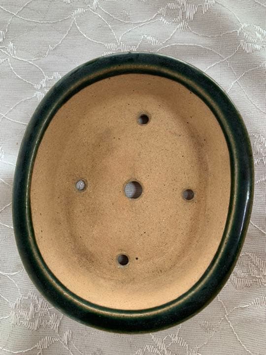 黎鳳　楕円　織部　盆栽鉢