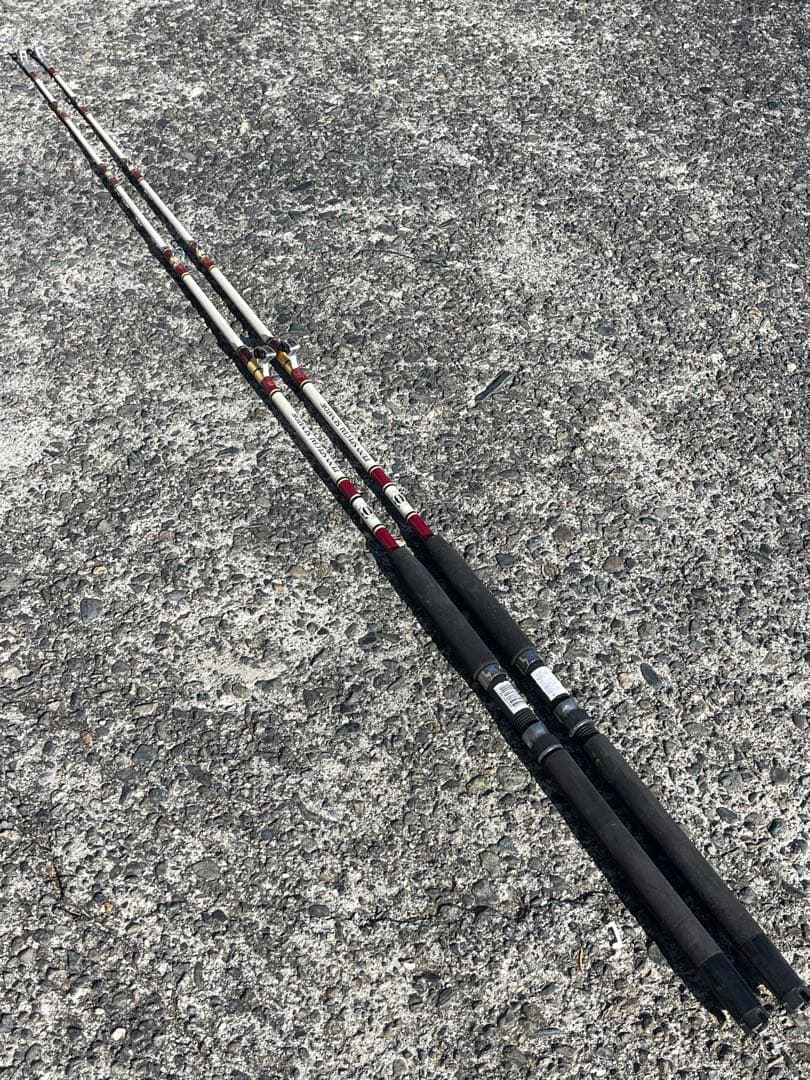 PENN SPECIAL SENATOR®