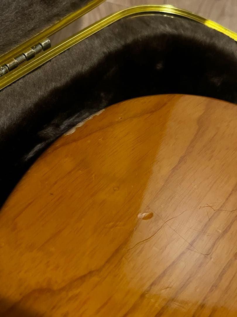 Momose テレキャスター 初期3桁シリアル