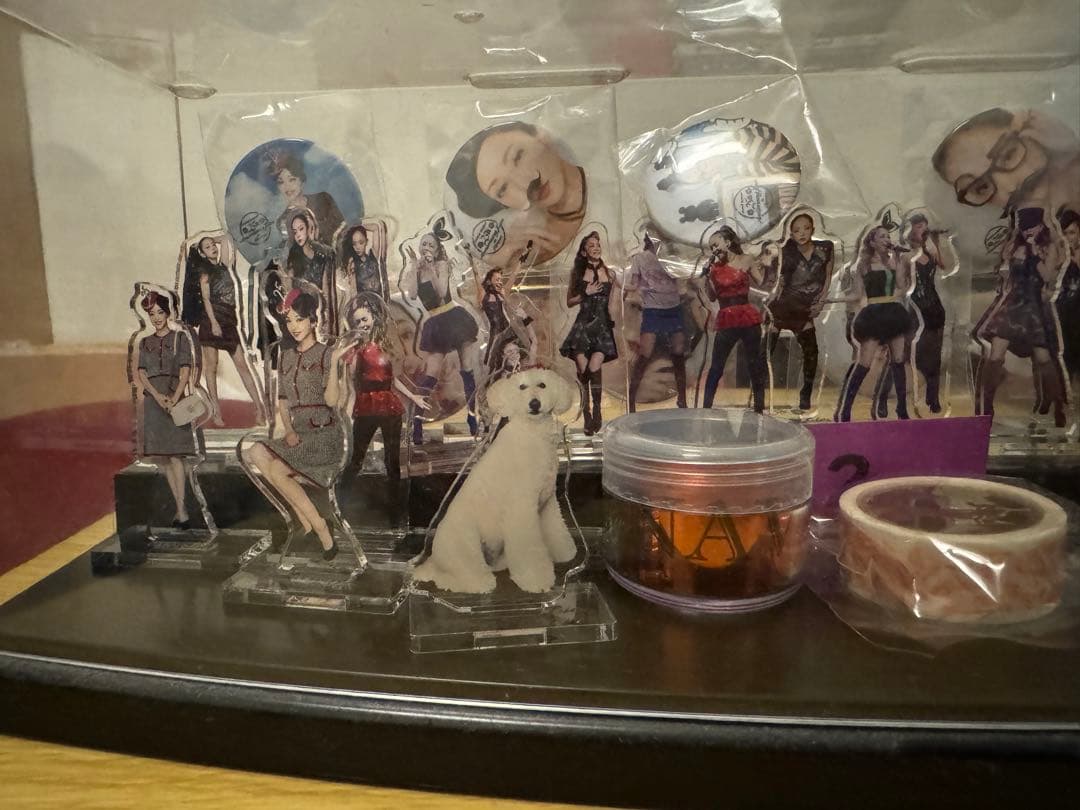 安室奈美恵 25thAnniversaryLive アクリルスタンド本日限定価格