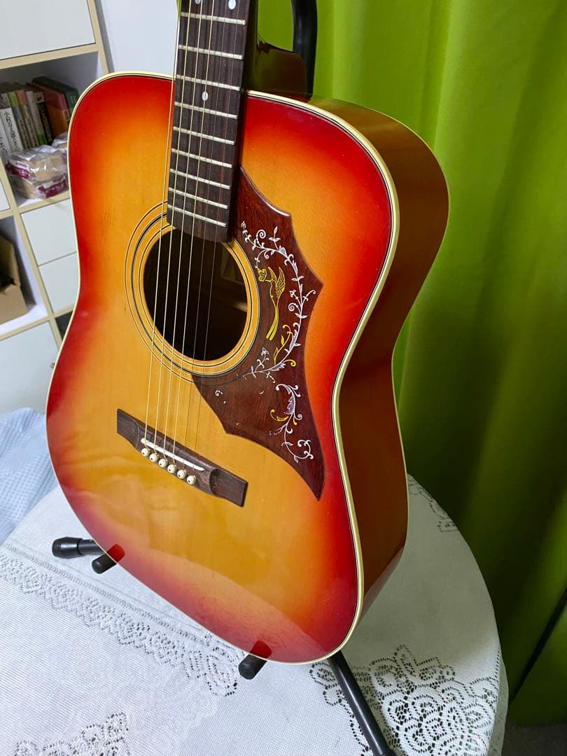 新春特価　ZenOn Roje ハミングバード　エレアコ 音出良好