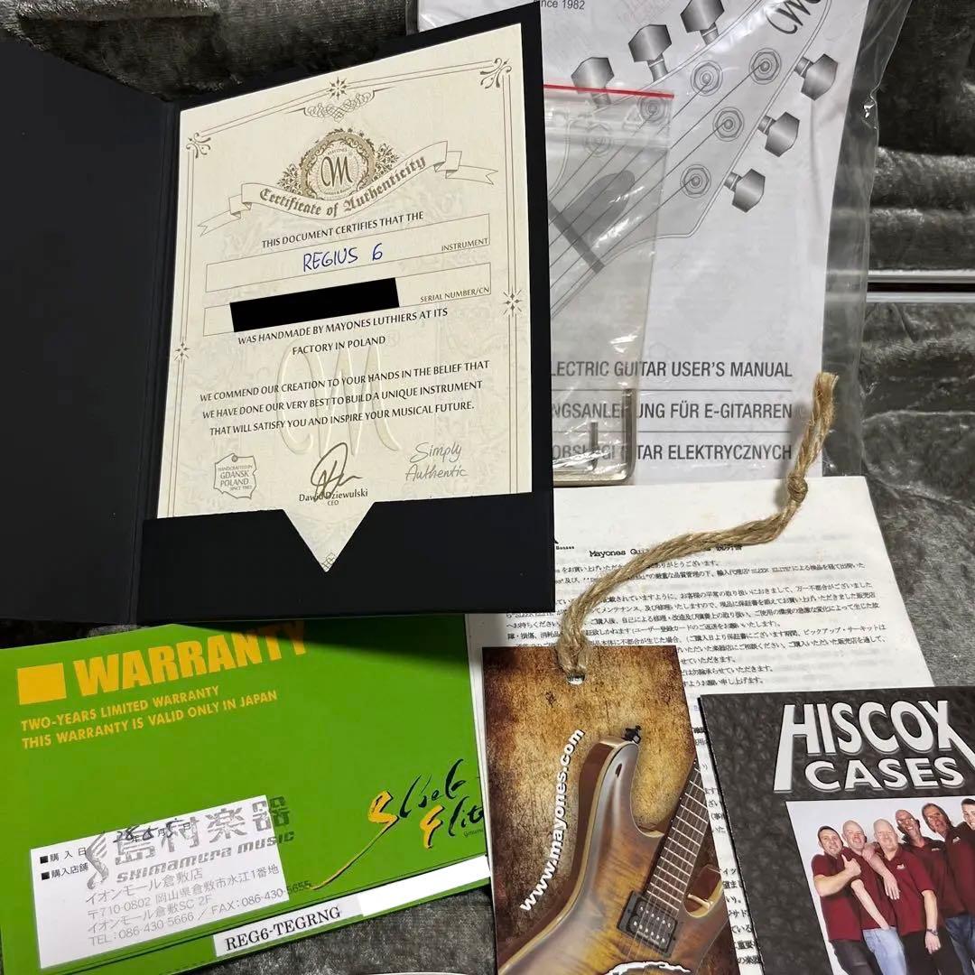 ギター MAYONES Regius6 REG6-TEGRNG
