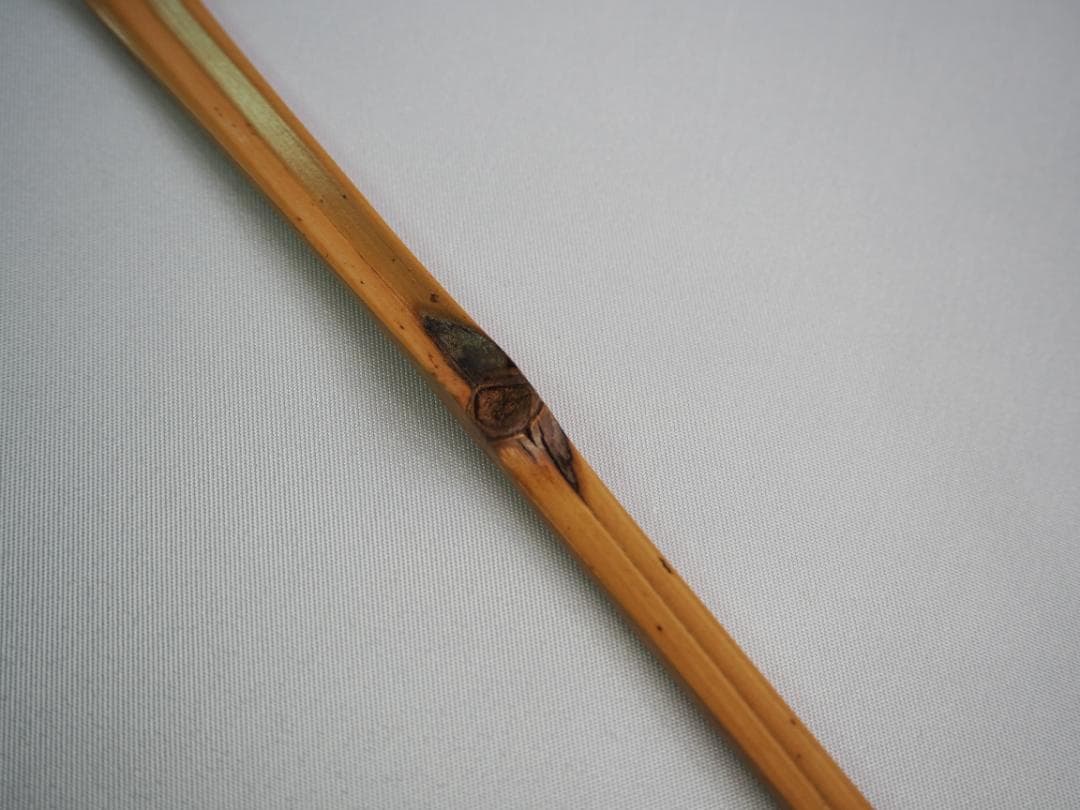 裏千家13世円能斎宗室自作『竹茶杓』銘：郭公（共箱）