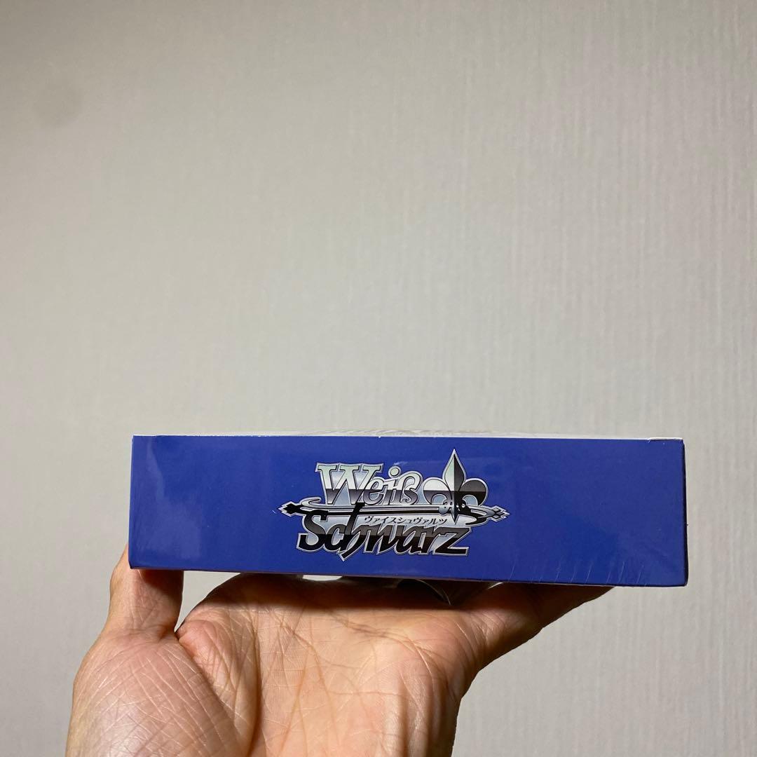 WS SAO 10th Anniversary 未開封 BOXシュリンク付き