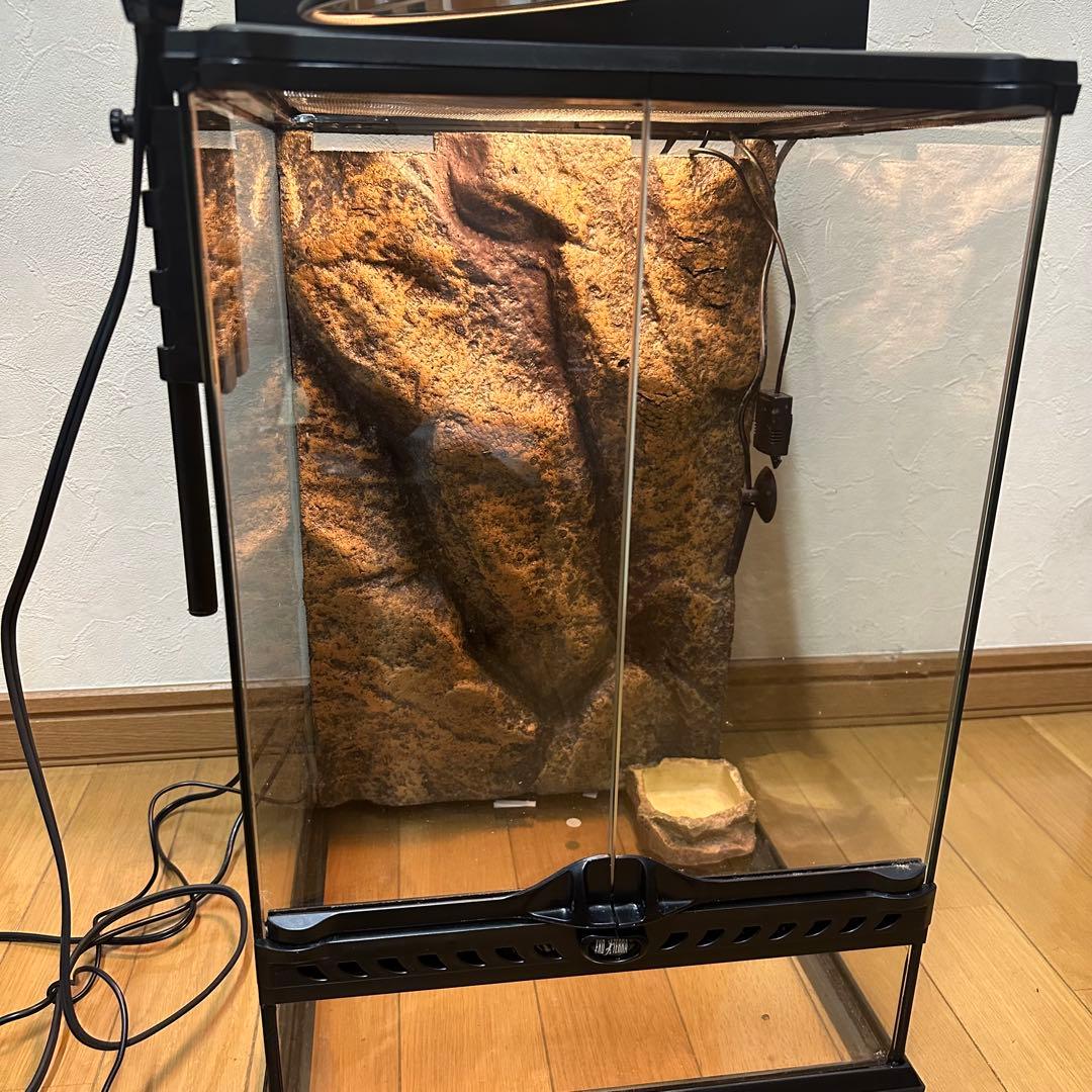 グラステラリウム 3045