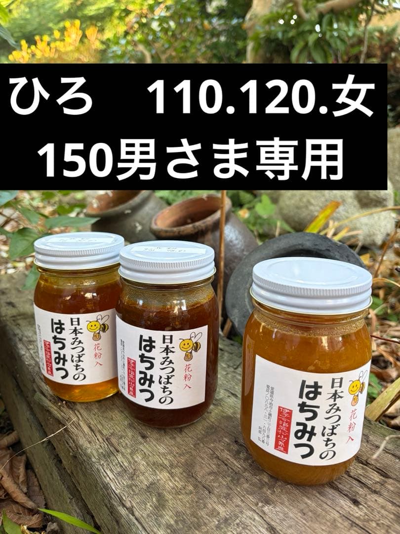ハチミツ　日本蜜蜂の蜂蜜　巣箱違い谷違いの花粉入りはちみつ