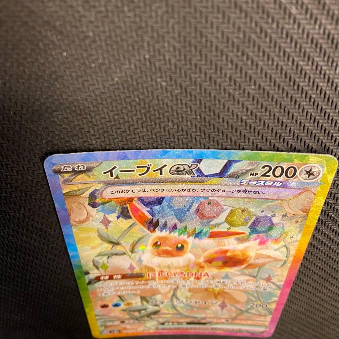 早い者勝ちテラスタルフェス　イーブイex SAR サンダースex SAR 計2枚