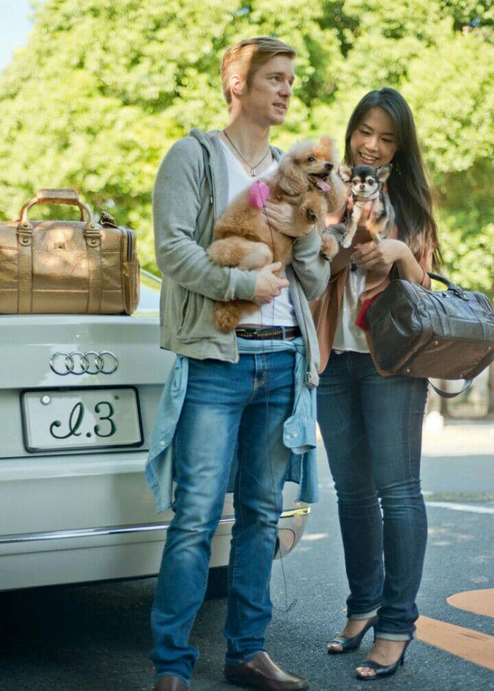 高級ペットキャリーバッグ　アイドットスリー　Ｍサイズ