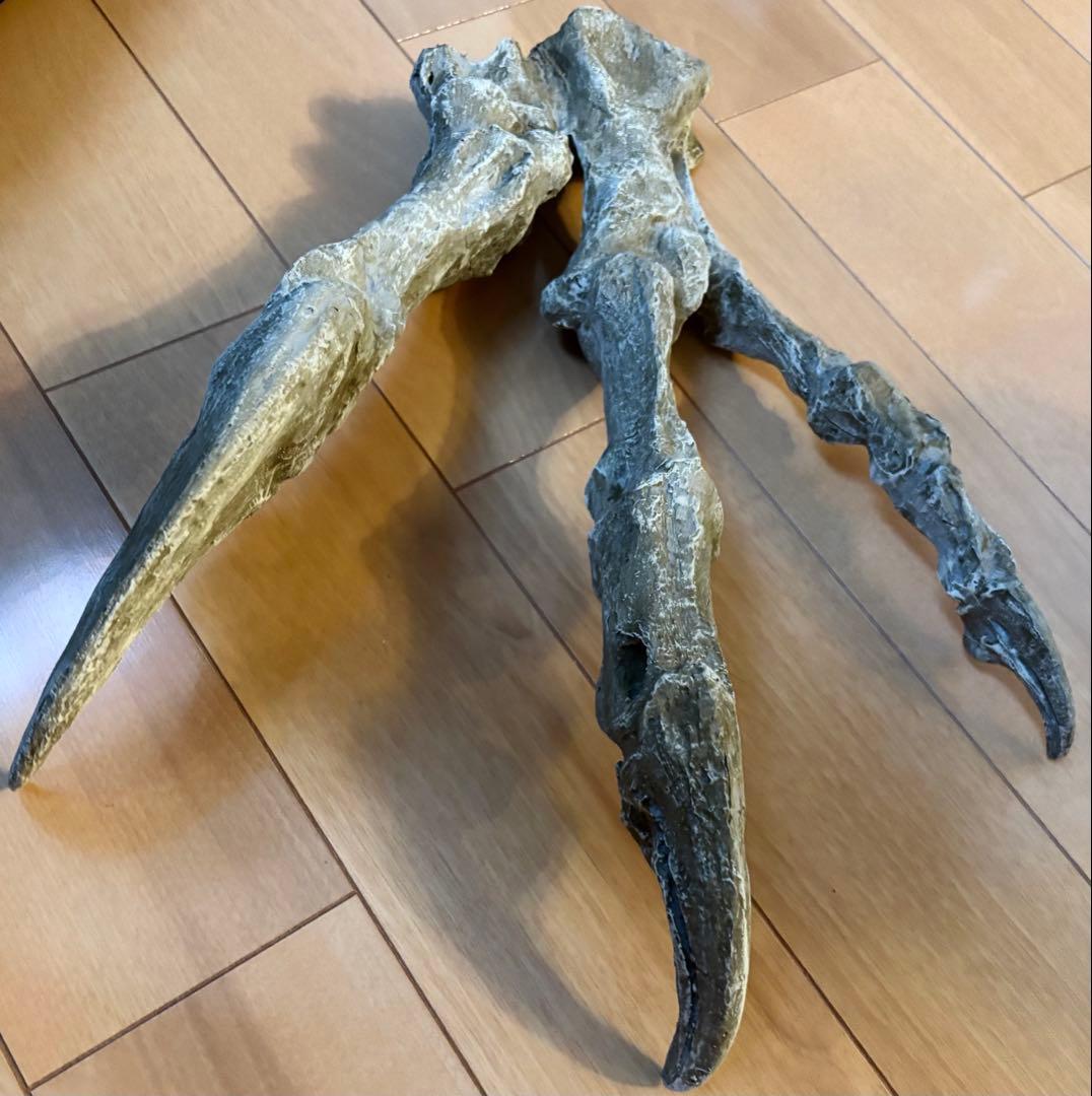 恐竜　化石　アロサウルス　鉤爪　レプリカ　1点のみ