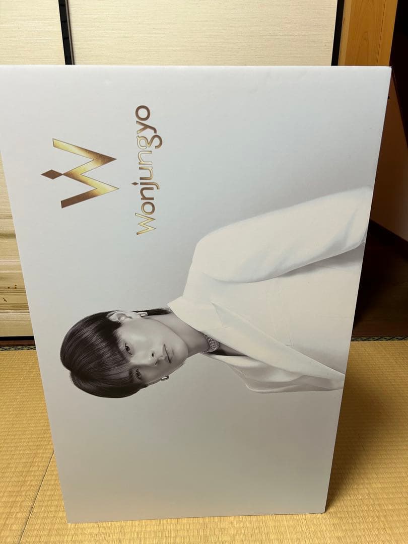 【希少】Wonjungyo Hair 平野紫耀 全身パネル