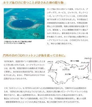 UCHINO 繊維の宝石海島綿 グレイスフル バスタオル
