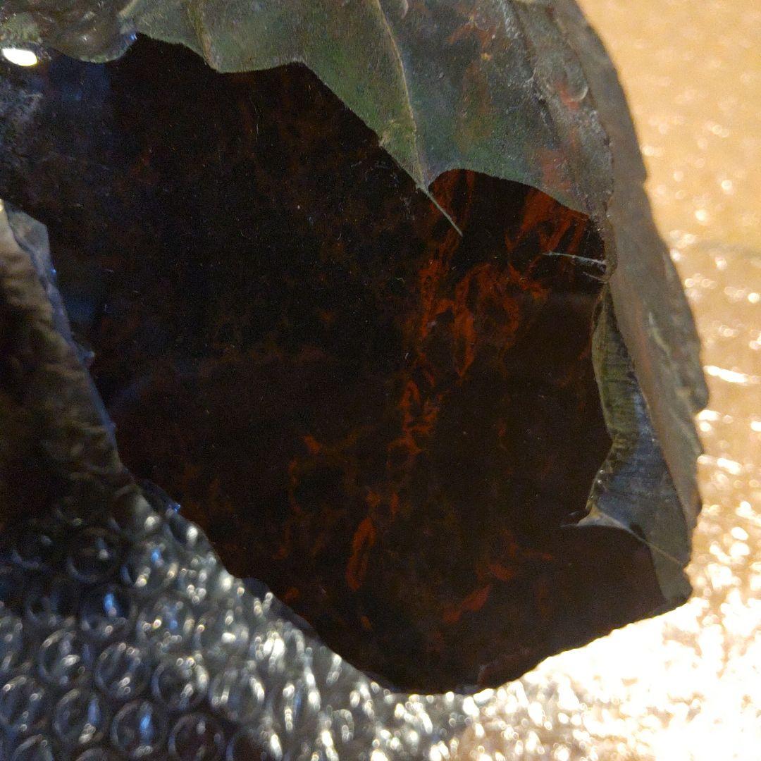 #化石(樹木)６月 価格