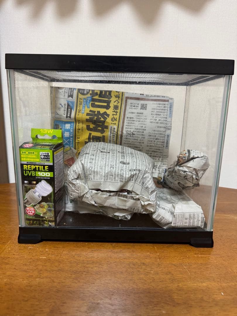 爬虫類飼育セット (詳しくは商品説明まで)